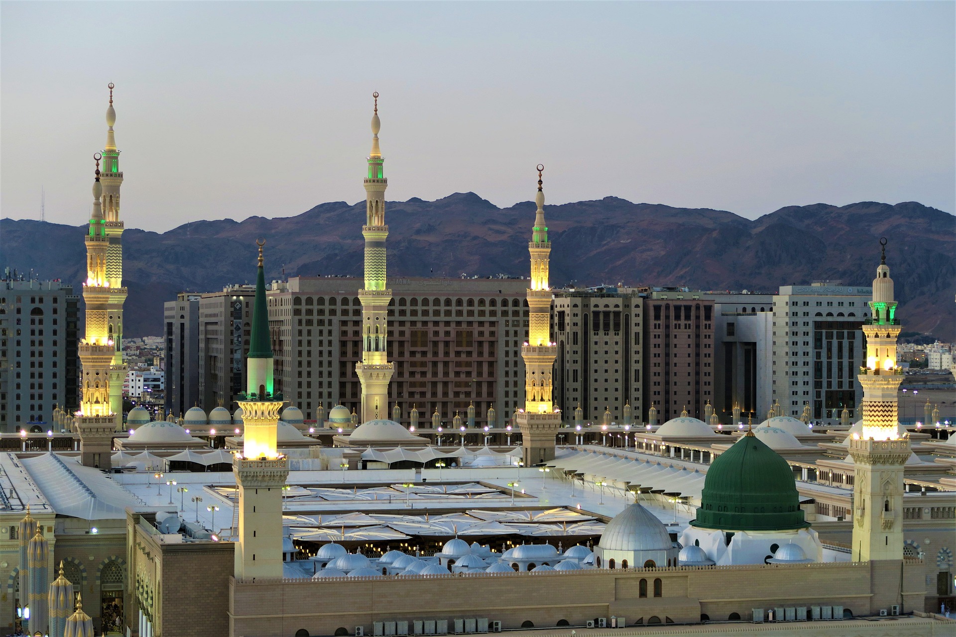 Saudi Scholarship